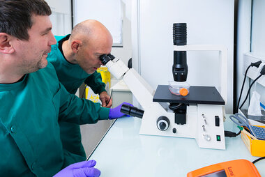 Alain Wagner observe la viabilité de cellules immunitaires